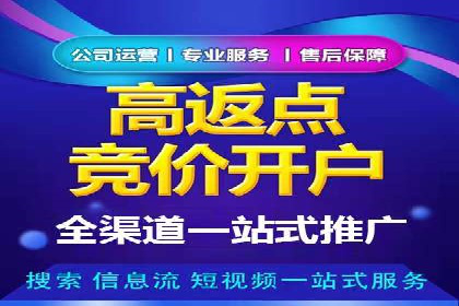 SEM竞价代运营公司成功案例分析